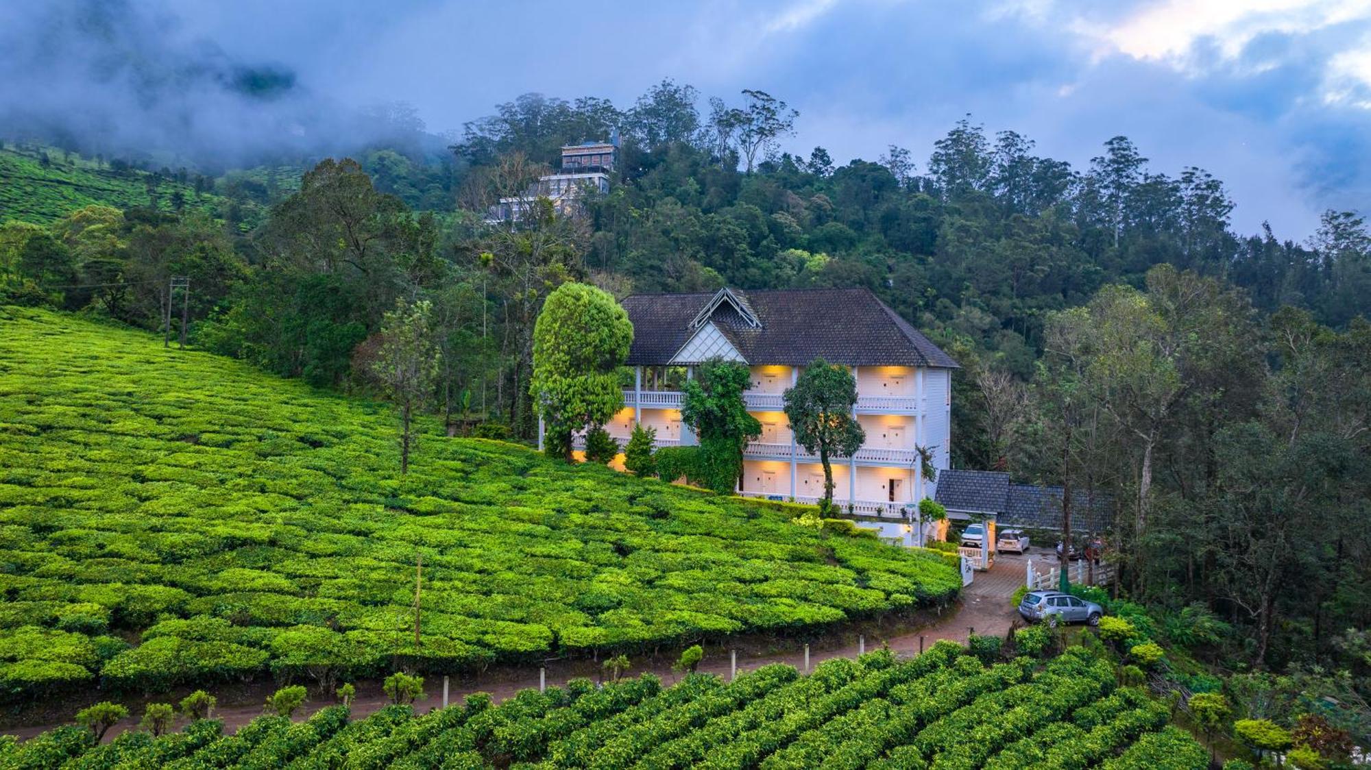Tea Harvester Munnar Exteriör bild