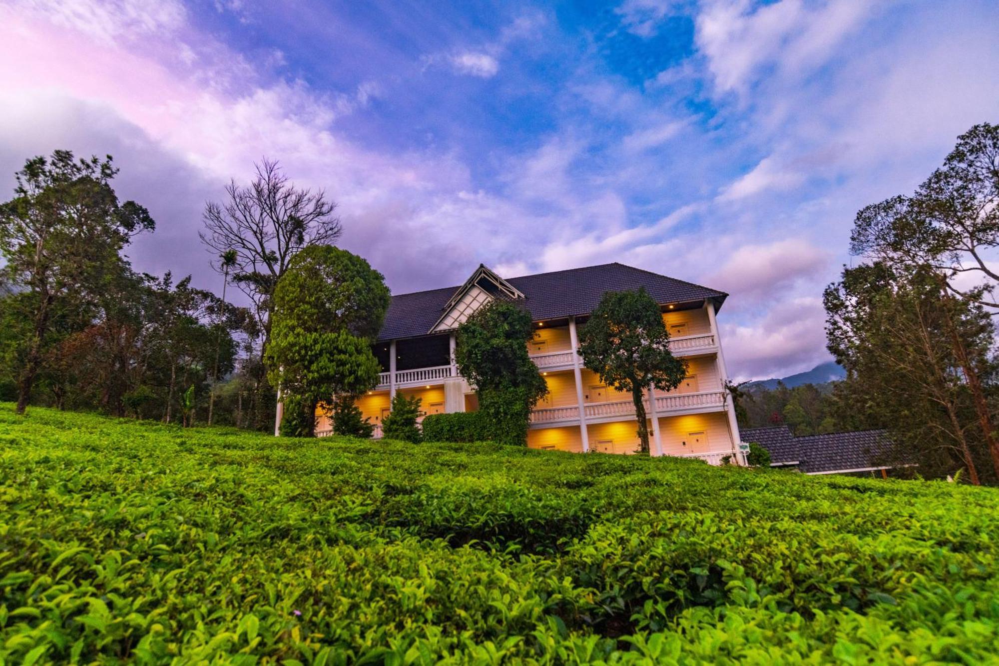 Tea Harvester Munnar Exteriör bild